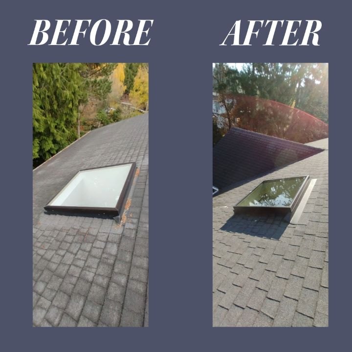 Skylights, before the ceiling gets stained
